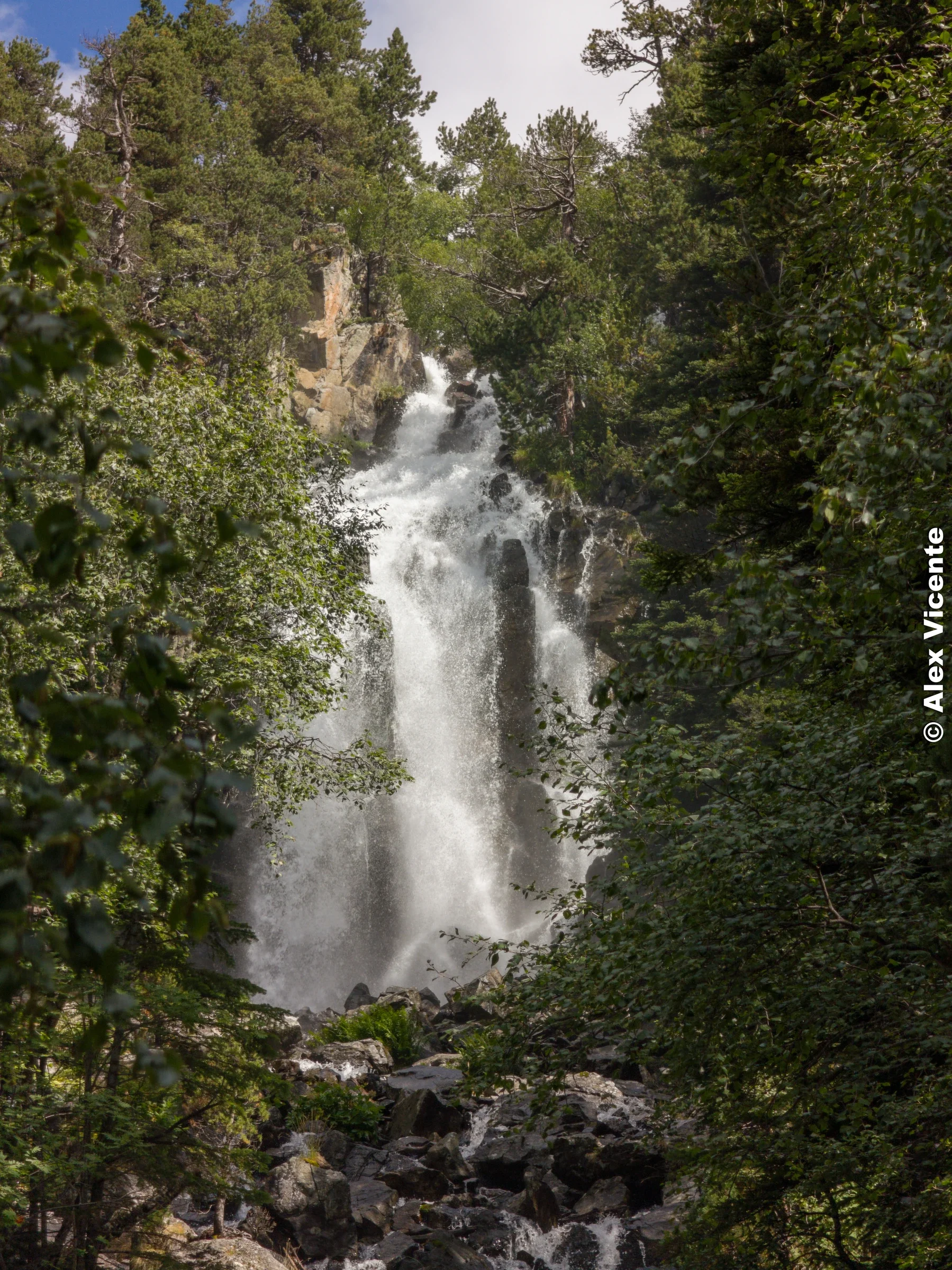 A waterfall framed by dense pine forest and dark rock.